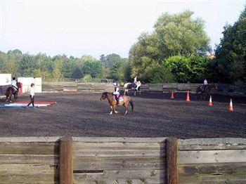 Bed and Breakfast Willowbrook Riding Centre à Chichester Extérieur photo